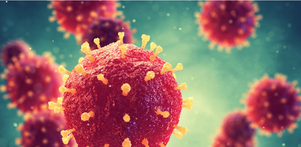 Virus