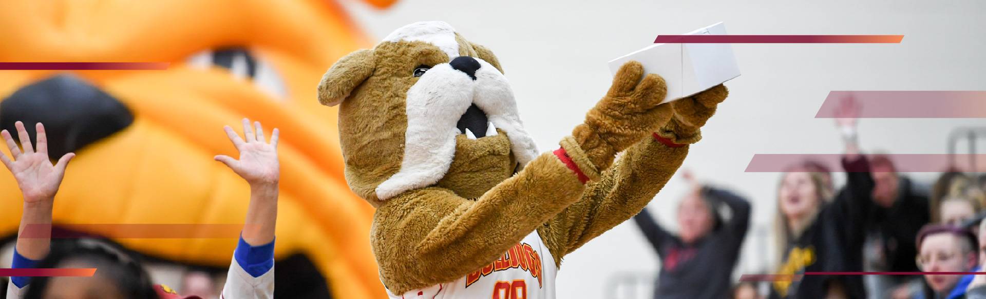 Brutus Bulldog giving away a prize at a basketball game