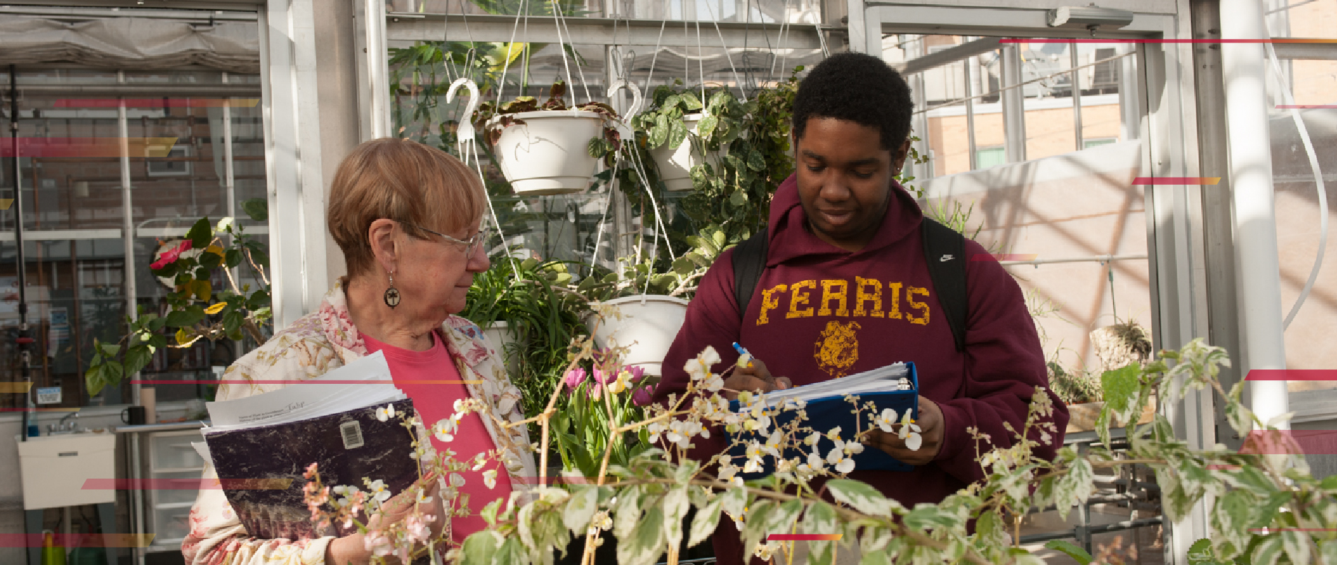 Greenhouse video