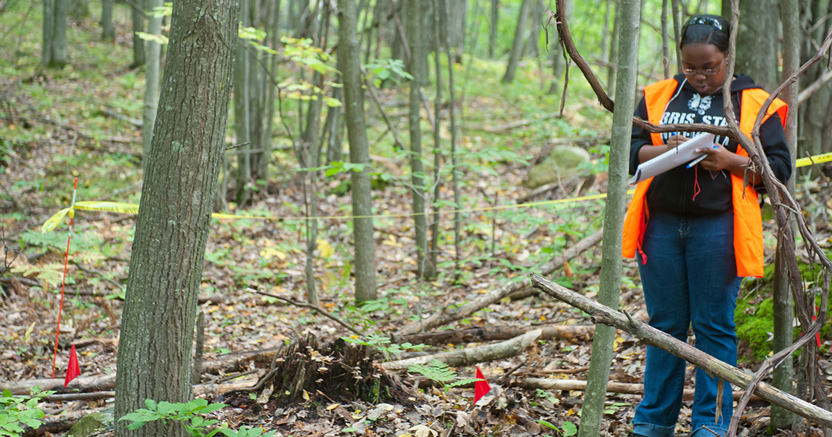 A Ferris State University Forensic Biology student, wearing a a bright orange vest and writing data on a clipboard, in an outdoor lab collecting data samples from a mock crime scene.