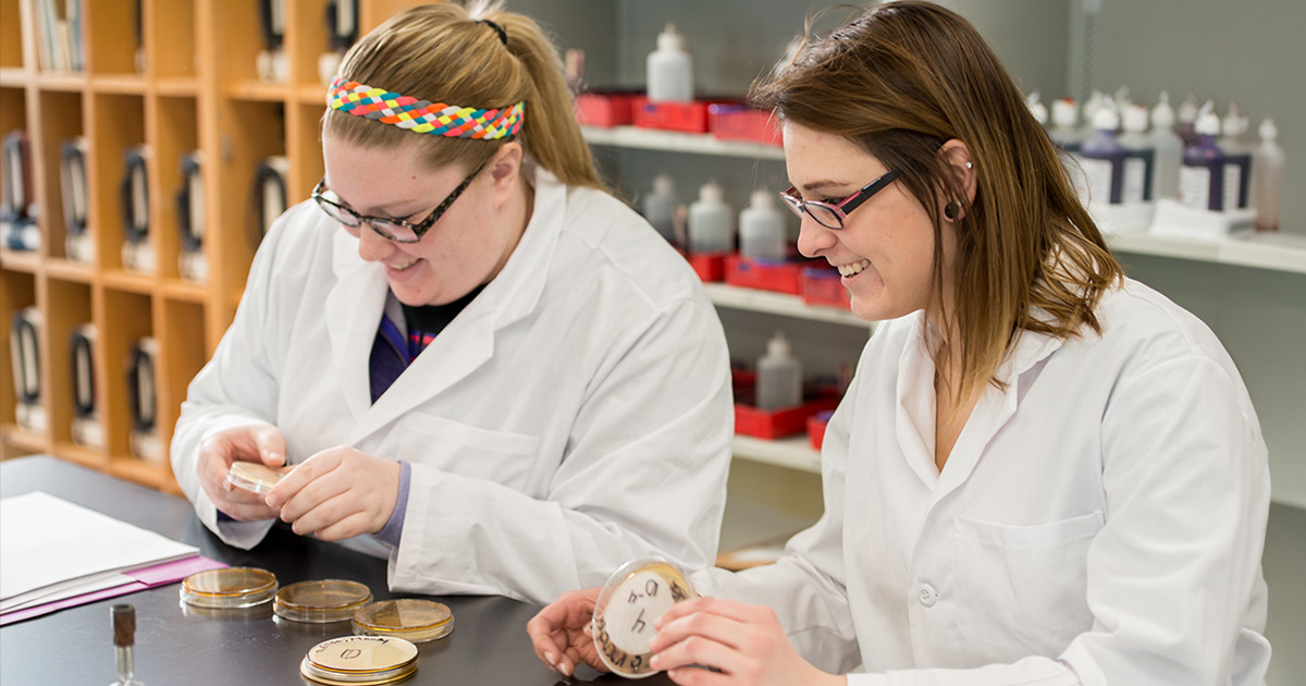 Two Ferris State University Forensic Biology students wearing white lab coats and protective glasses, sitting in an indoor lab analyzing petri dishes of collected lab samples.
