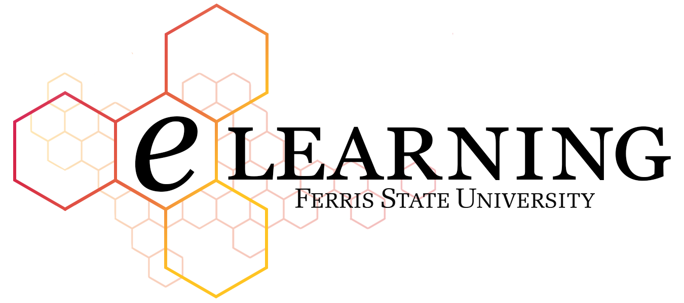 Graphic logo reading eLearning, Ferris State University