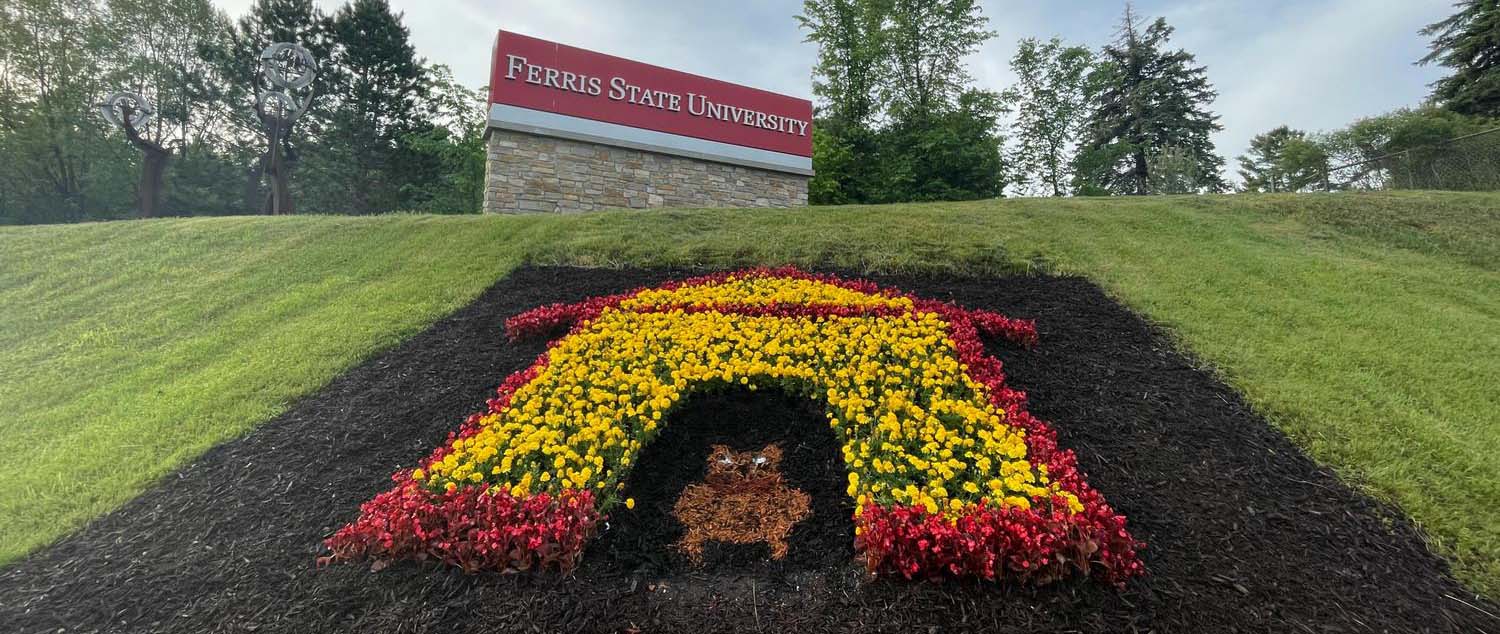 Photo of the new design on the Perry Avenue hill