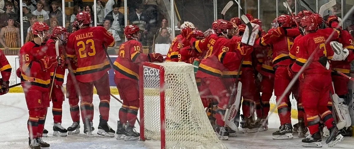 hockey players celebrate on the ice by a goalie net