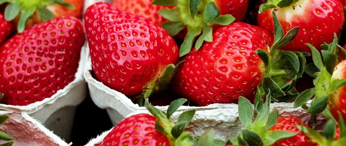 Strawberries in baskets at the farmer's market