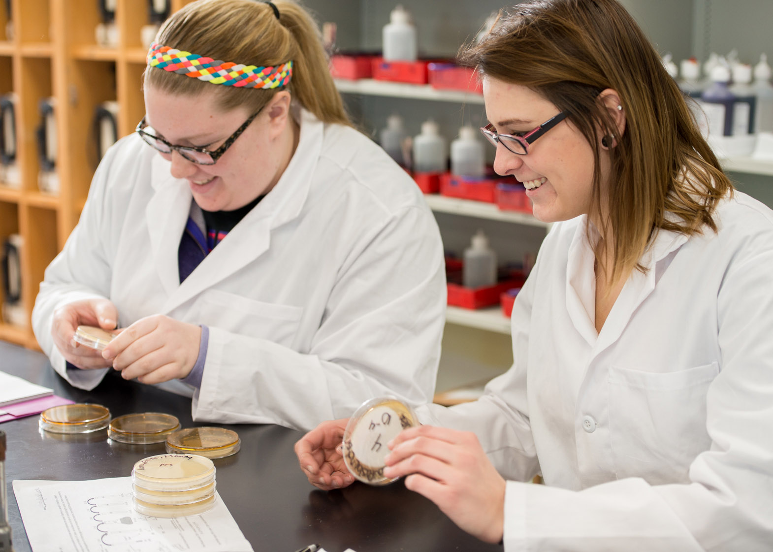 two students in lab coats looking at petri dishes