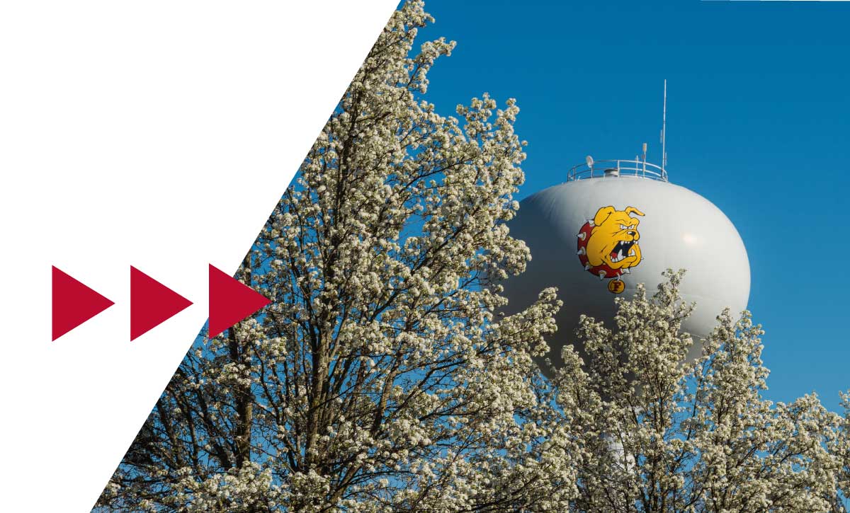 Ferris State water tower with Bulldog logo