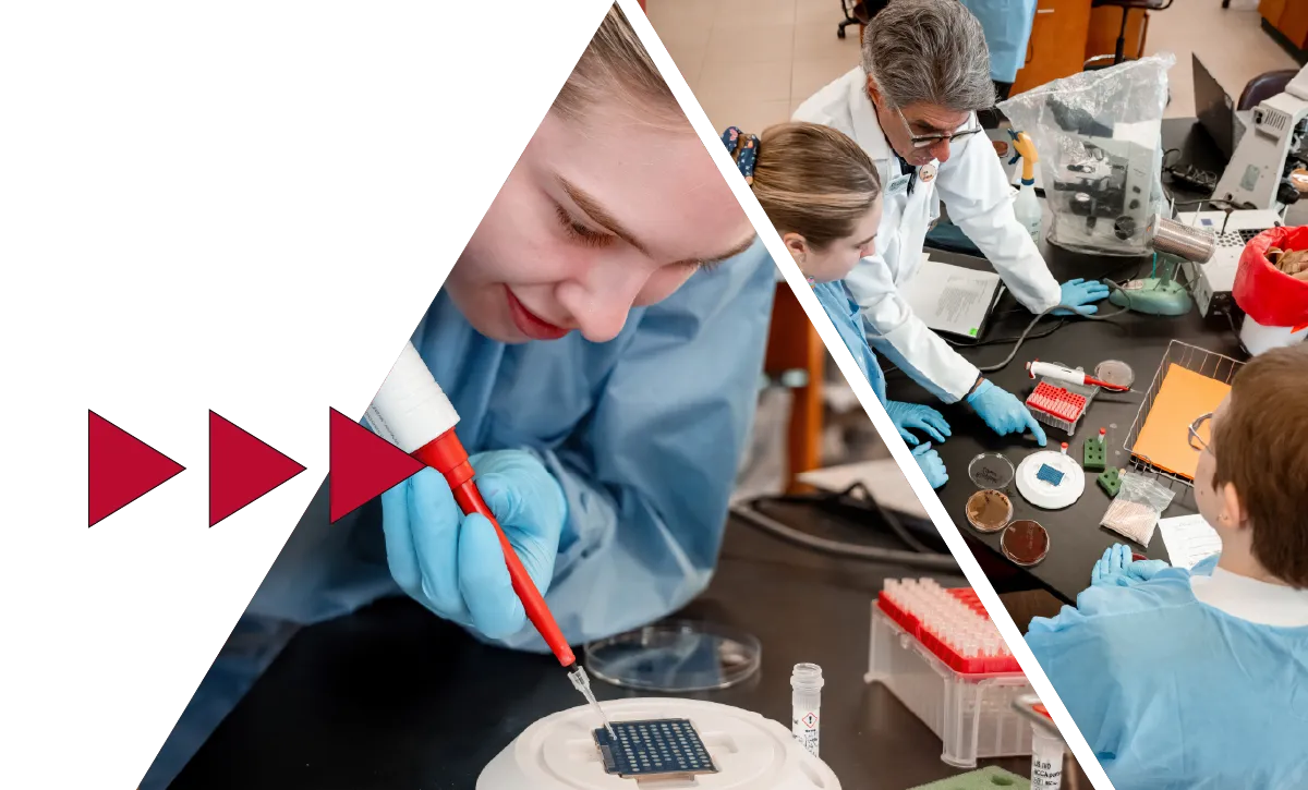 medical laboratory science program