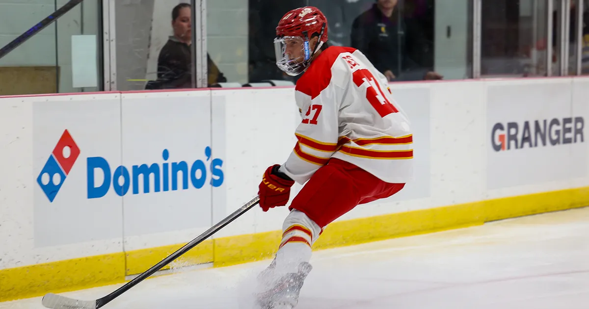 hockey player on the ice