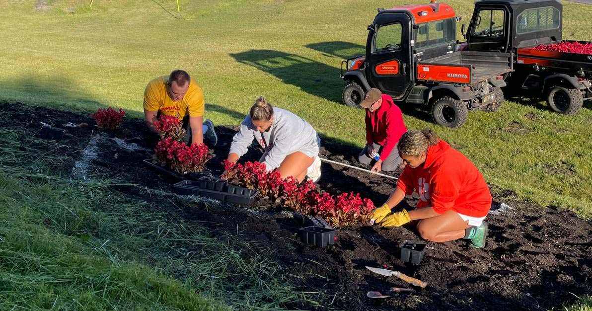Jackson Altwies, Dylann Kelly, Hope Davies, and Richard Coby in the midst of planting this year's design.