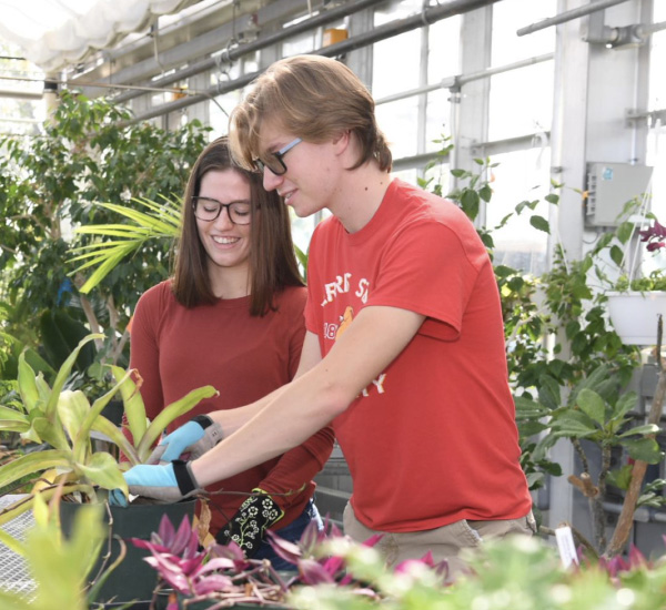 Students working together in the Ferris State University greenhouse