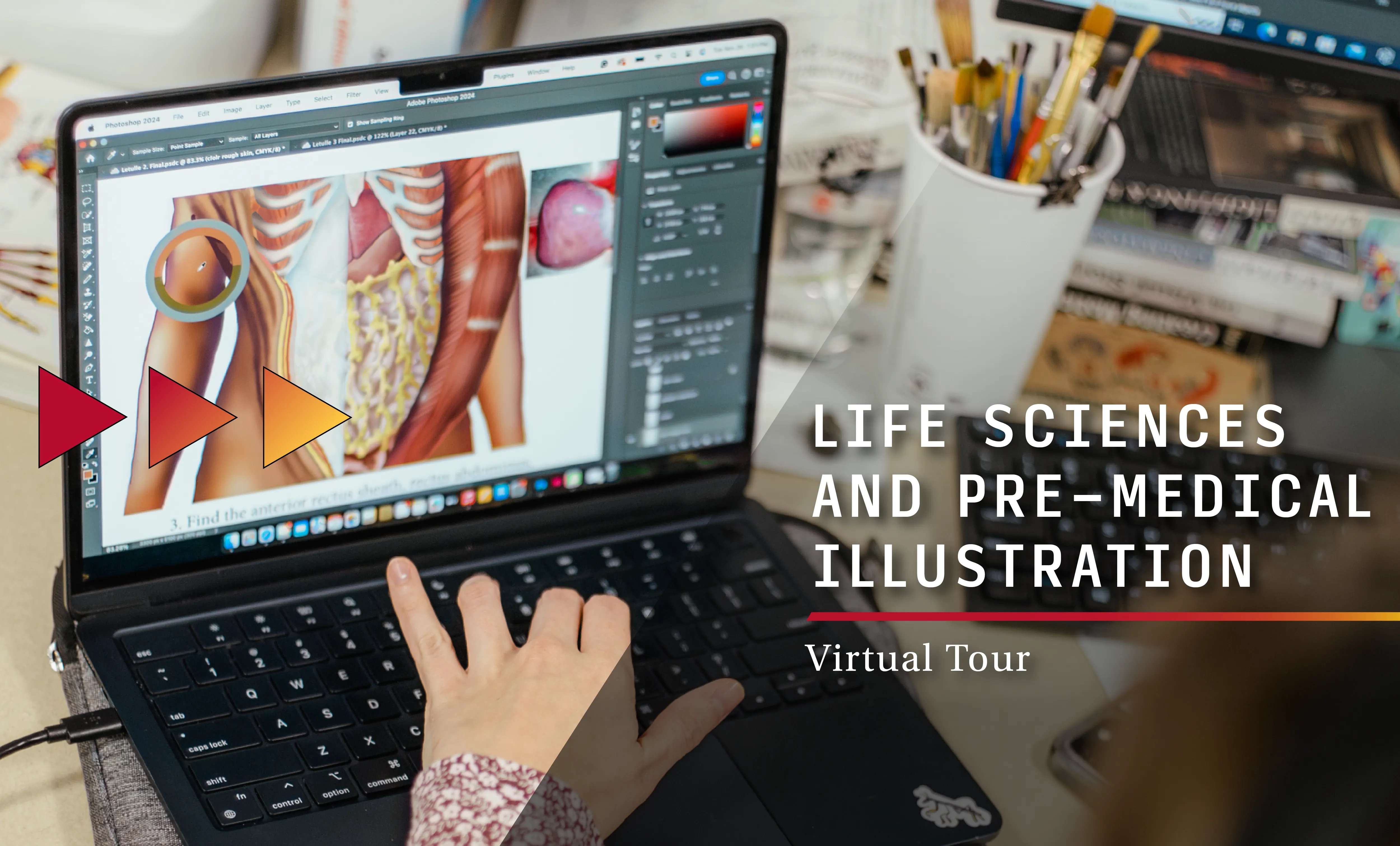 virtual tour of the Life Sciences and Pre-Medical Illustration program