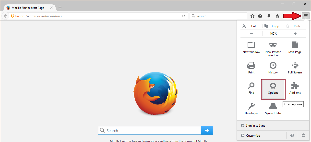 setting a homepage in your browser