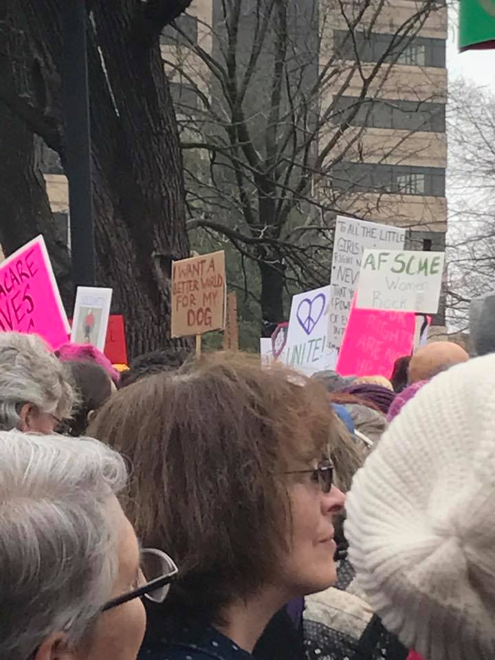 Women's March on Lansing