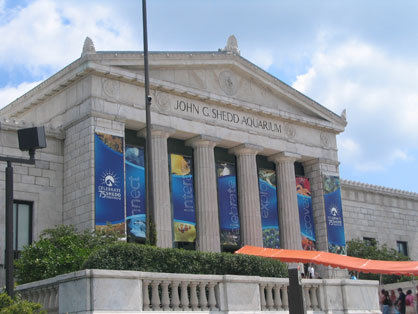 Shedd Aquarium (Chicago)