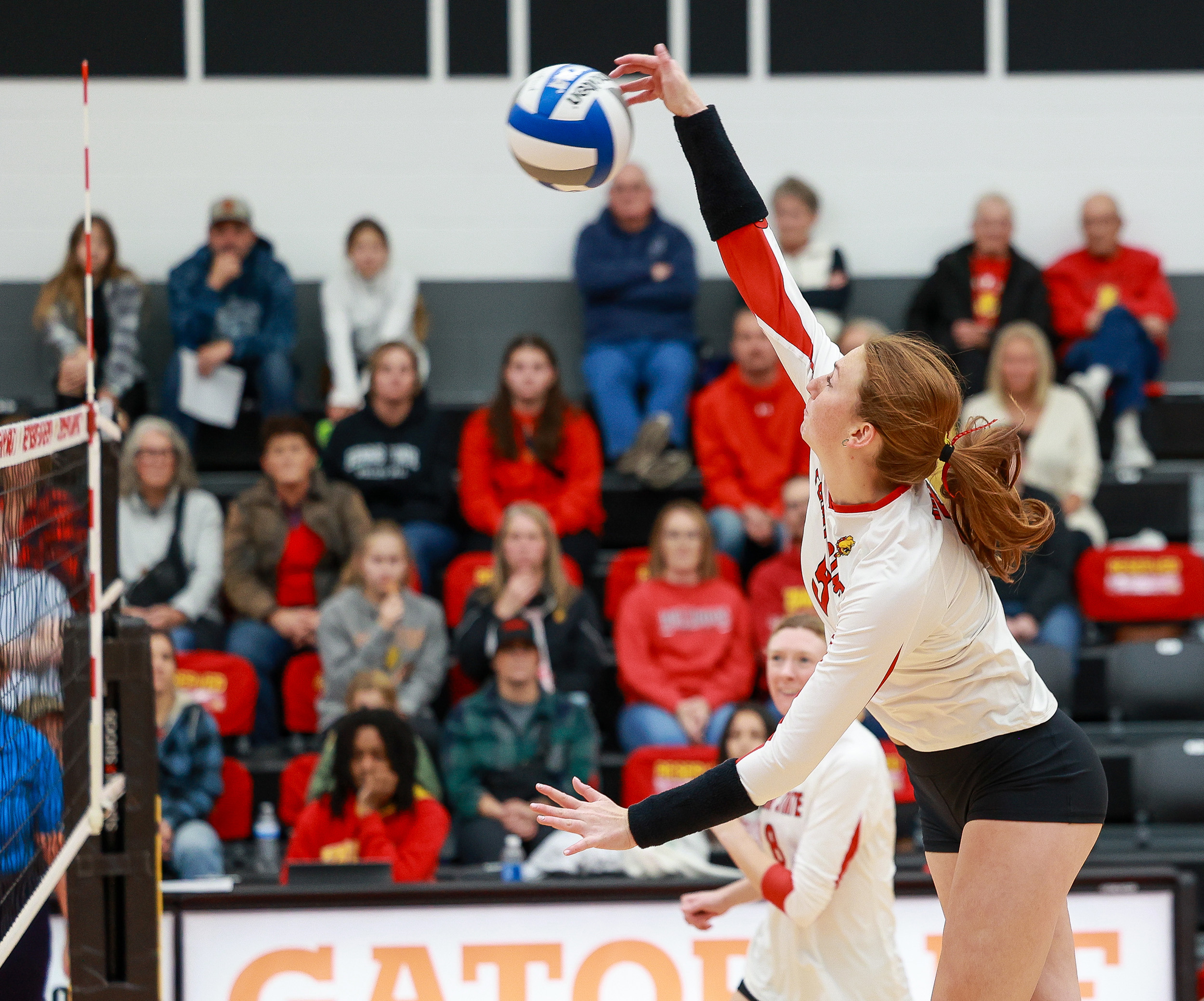 Olivia Henneman-Dallape