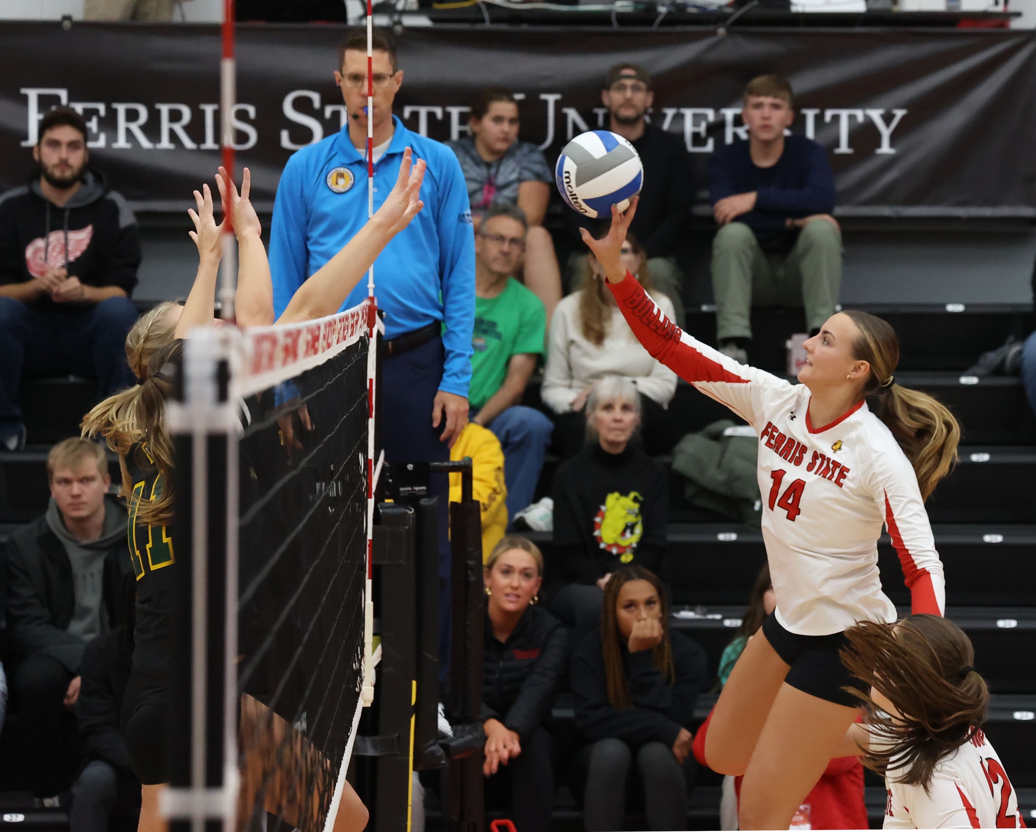 Ferris State volleyball feature
