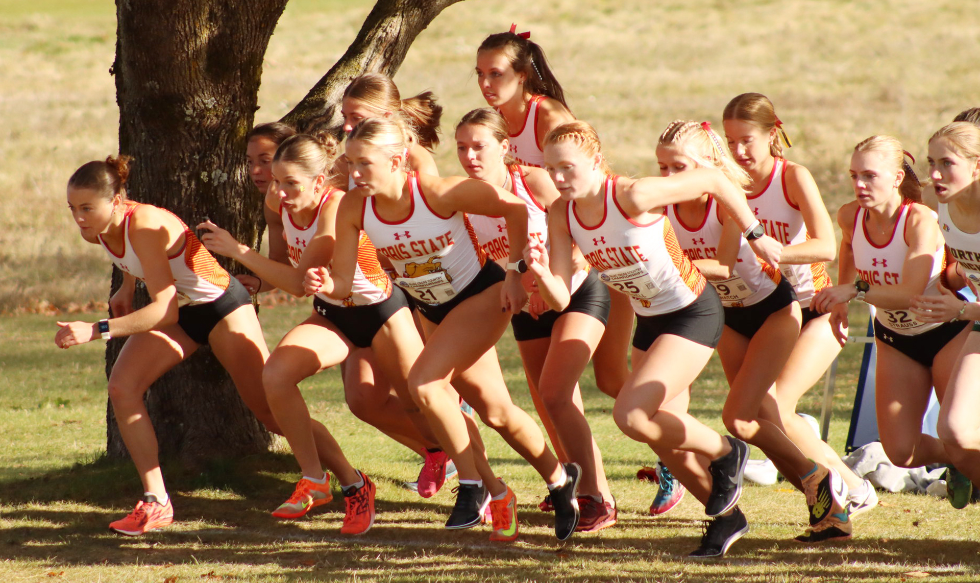 Ferris State cross country runners earned GLIAC honors after league championship
