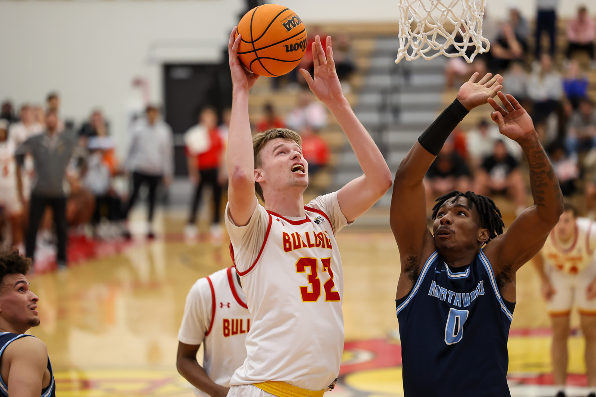Nate Claerbaut shining for Ferris State men's basketball program
