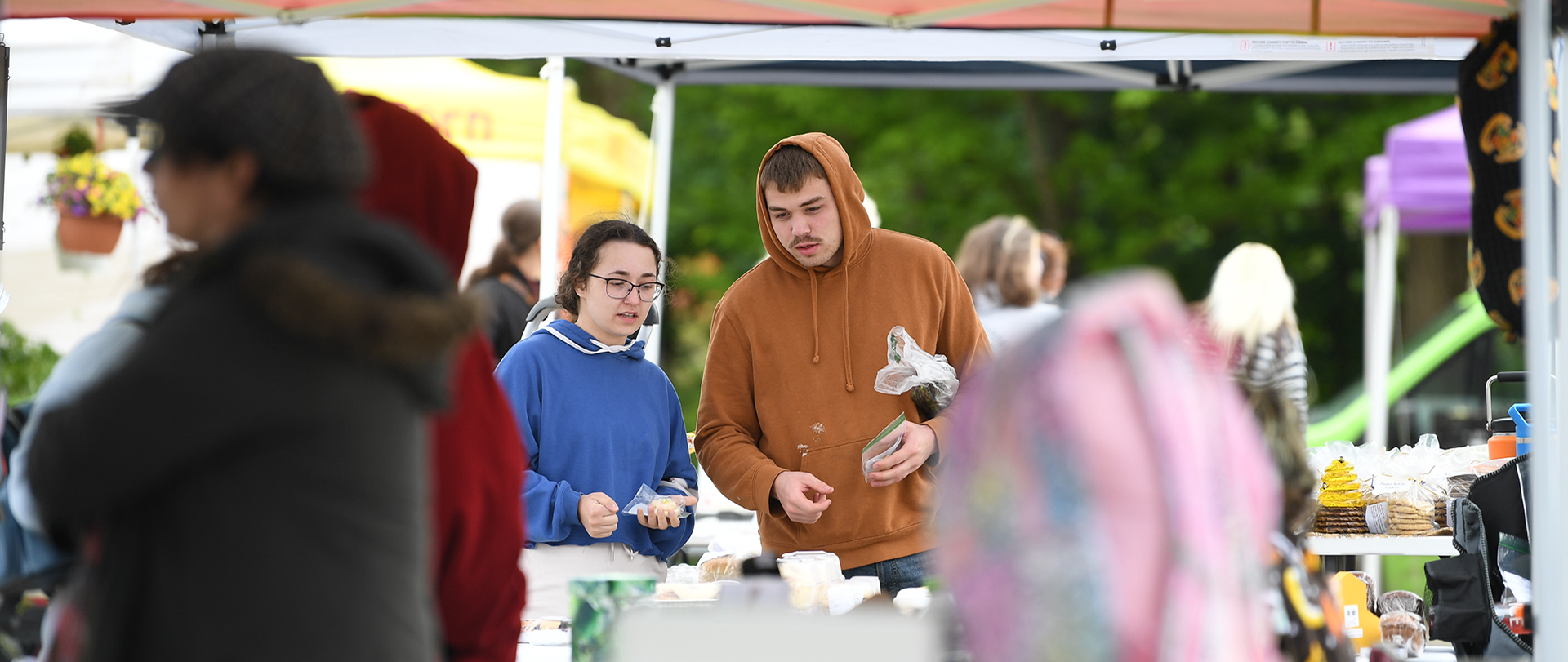 Ferris State students access