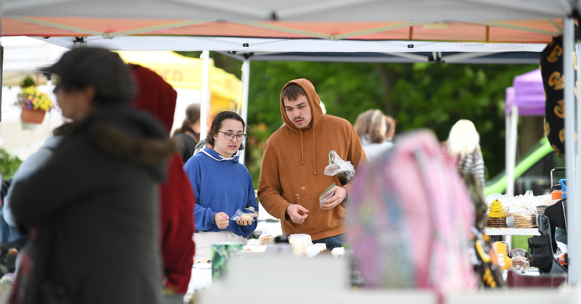 Downtown Big Rapids Farmer's Market