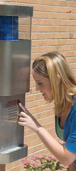 Student Using the Blue Police Box