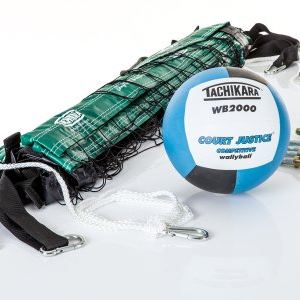 Wallyball Net & Ball